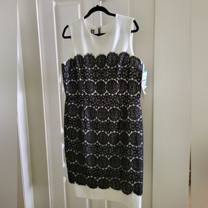 Anne Klein Dress